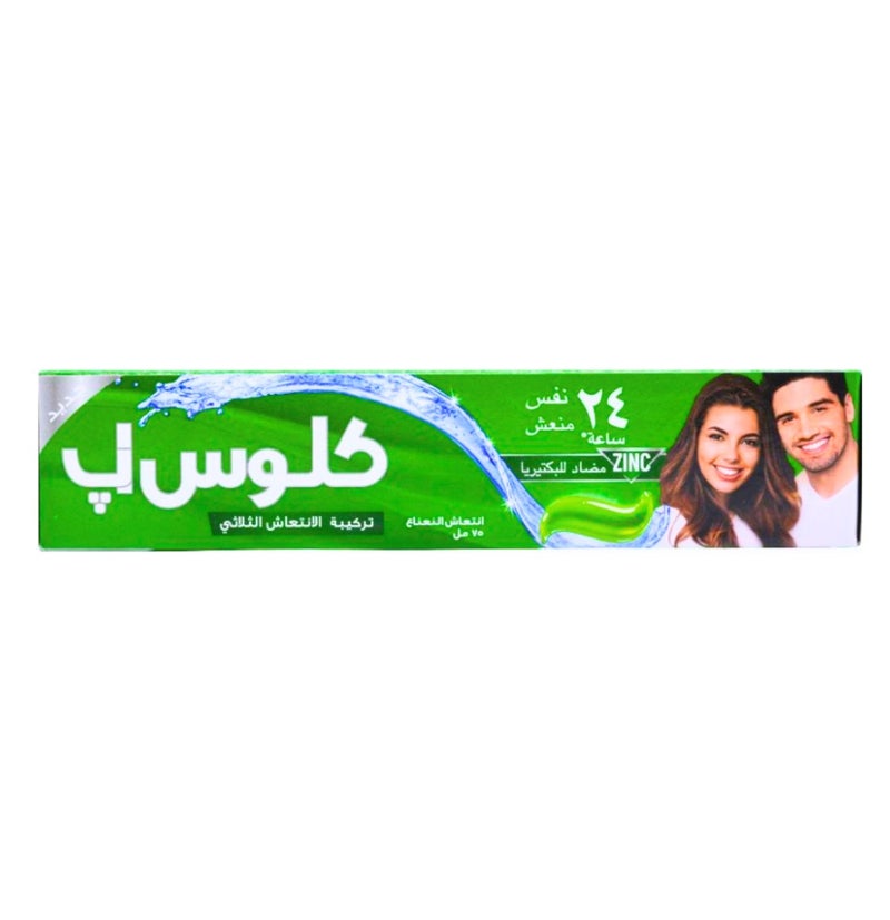 Closeup Toothpaste Menthol Fresh 75ml X Pack of 2Pcs - Image 3
